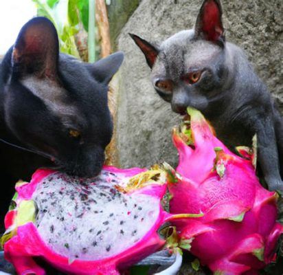 can cat eat dragon fruit