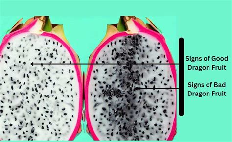 how to tell if dragon fruit is bad