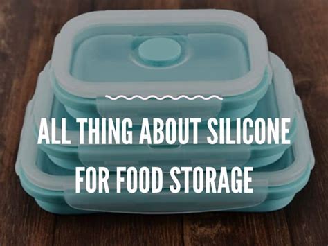 is silicone safe for food storage: Exploring the Intersection of Science, Safety, and Consumer Confidence